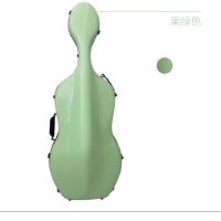 CELLO CASE 166.jpg